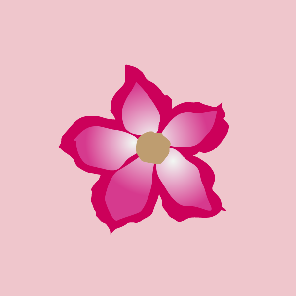Adenium obesum image