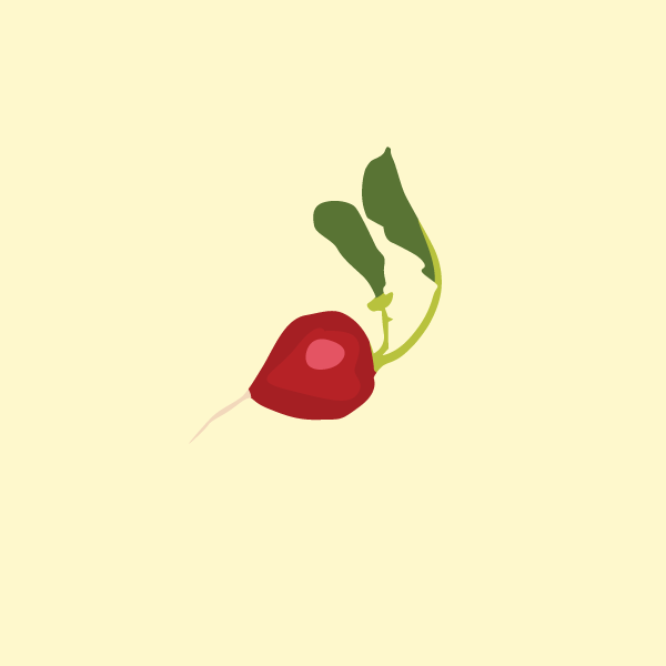 brassica_rapa