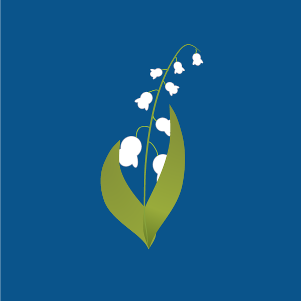 convallaria_majalis