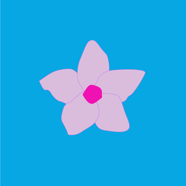 Cryptostegia grandiflora image