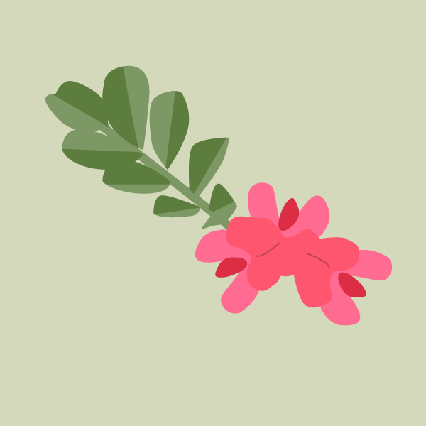 Indigofera linnaei image