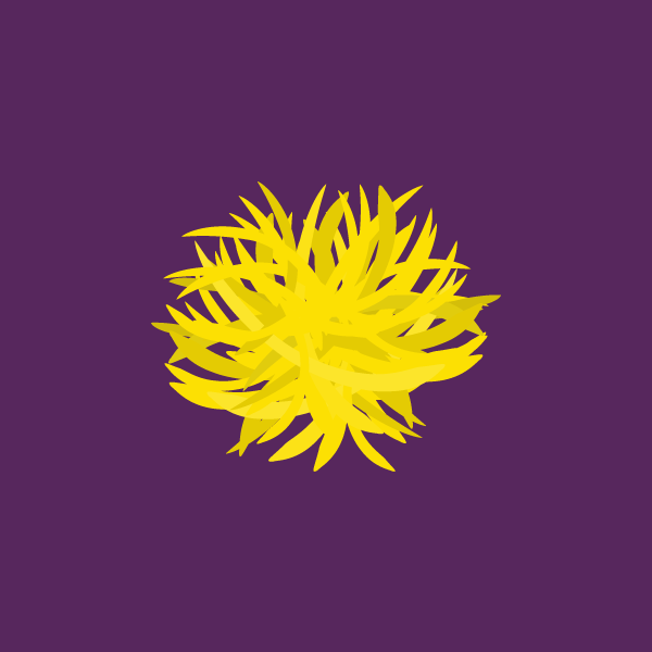 Neptunia amplexicaulis image