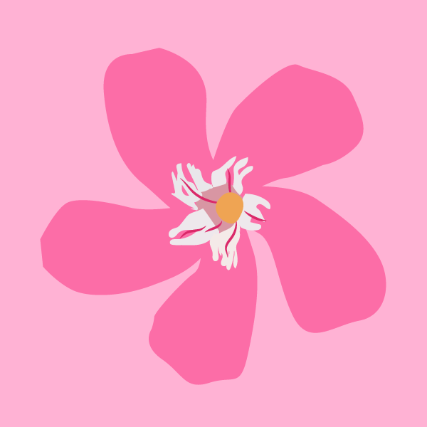 Nerium oleander image