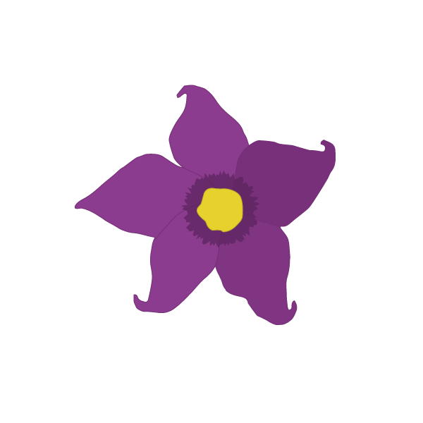 solanum